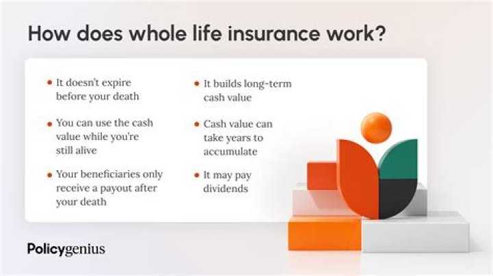 Can I use my whole life insurance as collateral?