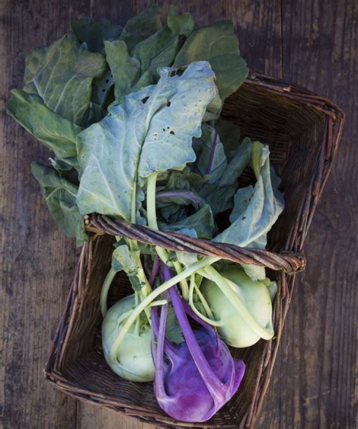 Can you harvest kohlrabi leaves?