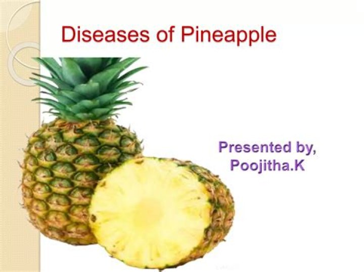 Does pineapple have another name?