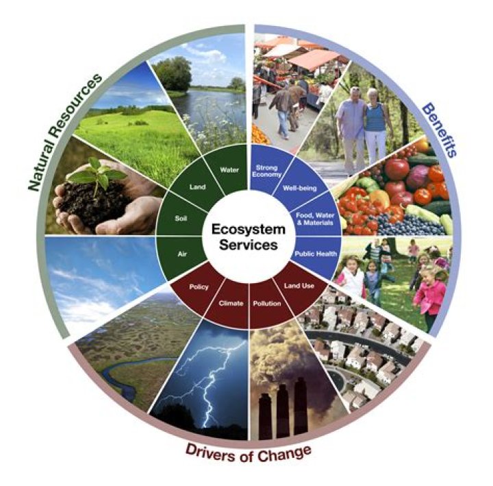 How do humans use ecosystem?