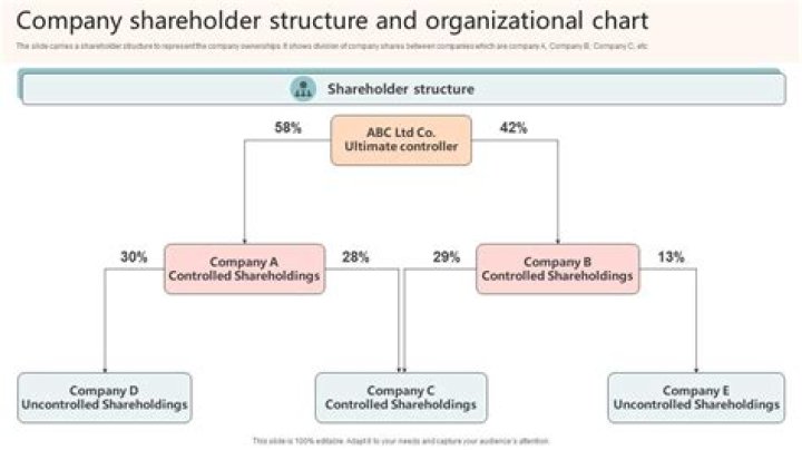How do I find shareholders of a company?
