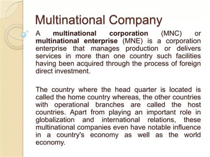 How do multinational companies operate?