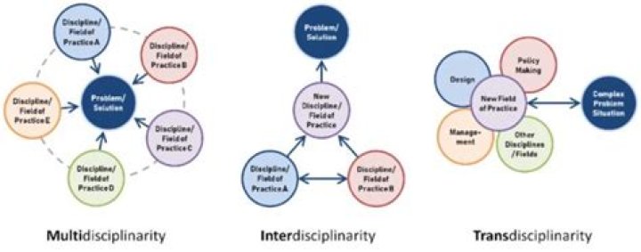 How is multidisciplinarity different from interdisciplinarity?