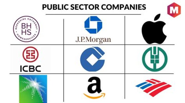 Is Goya publicly traded company?