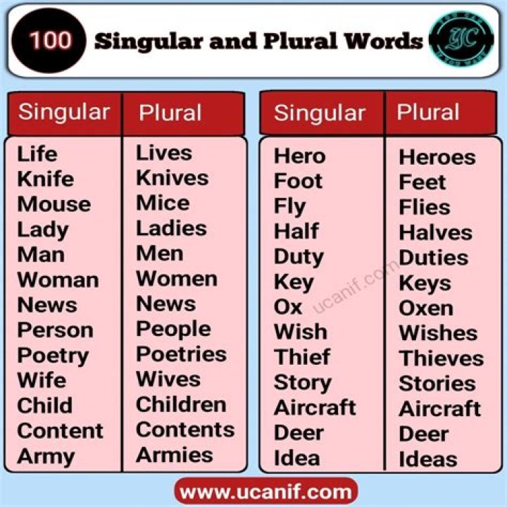 Is the word traffic singular or plural?