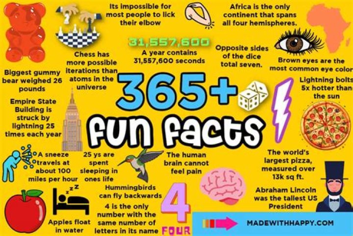 What are 3 interesting facts about Chanel?