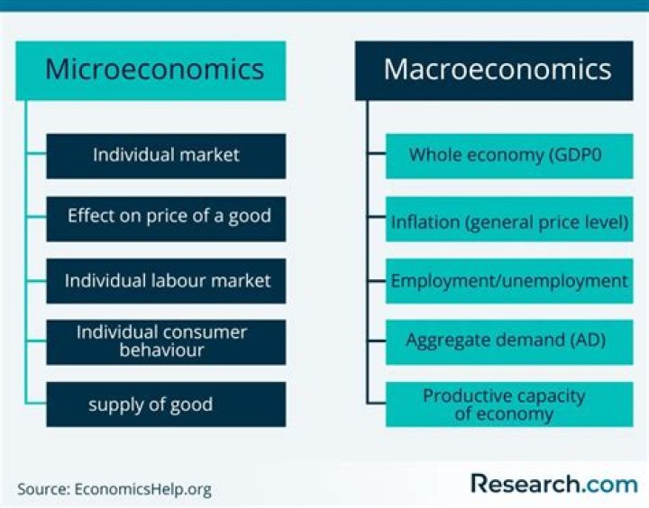 What are examples of microeconomics?