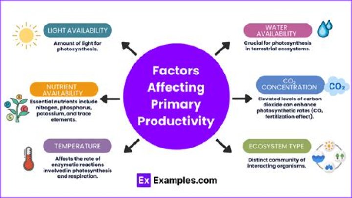 What are factors affecting productivity?