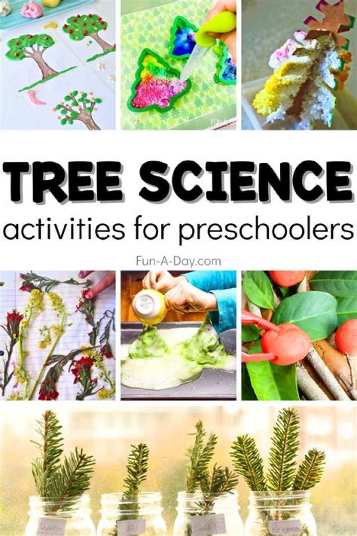 What are some science activities for preschoolers?