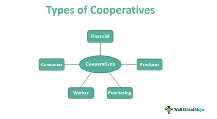 What are the 3 types of employment?