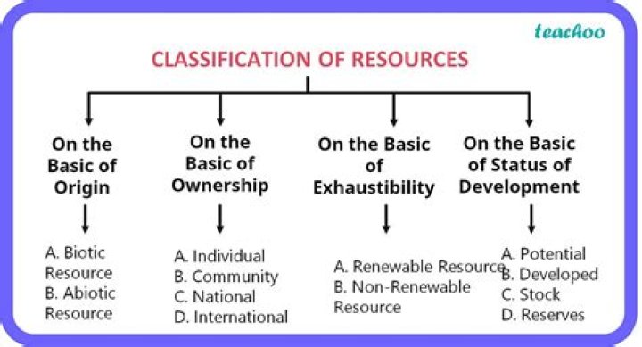 What are the 4 basic resources?