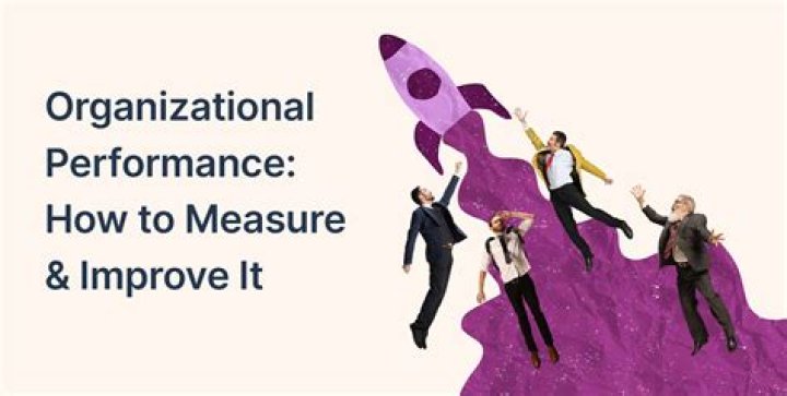 What are the 6 steps for the improve organization performance?