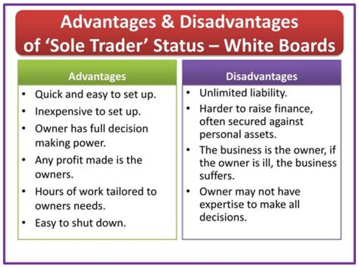 What are the advantages and disadvantages of a sole trader?