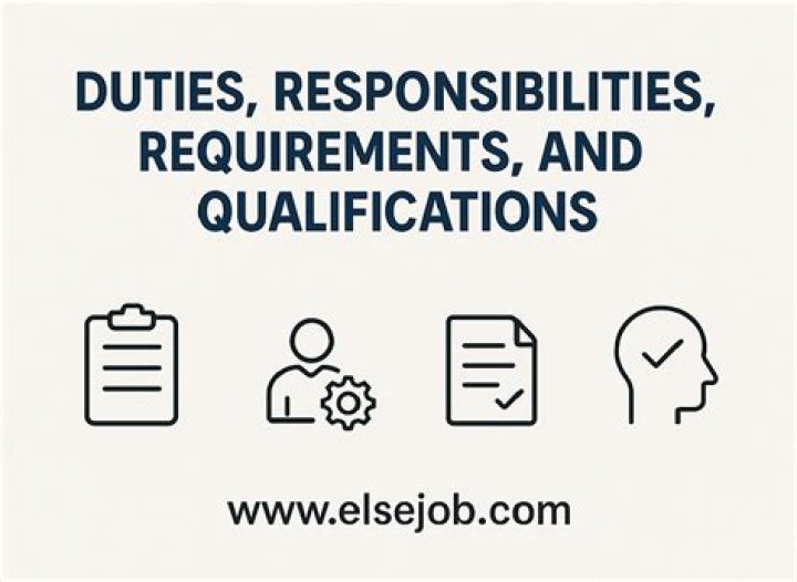 What are the duties and responsibilities of a sales executive?