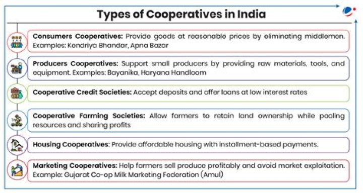 What are the functions and objectives of cooperatives?