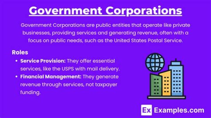 What are the functions of government corporations?