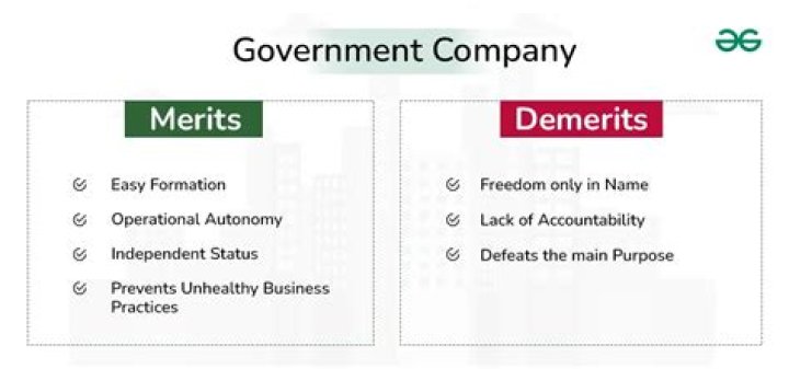 What are the merits and demerits of public corporation?