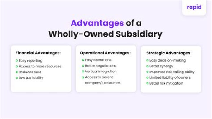 What are three advantages of a wholly owned subsidiary?