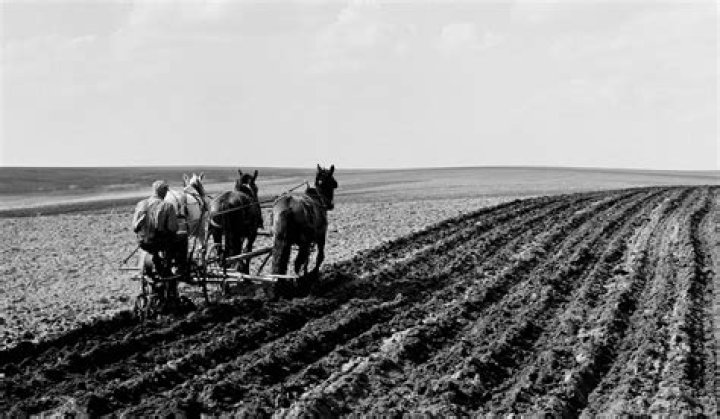 What caused farmers to lose their farms in the 1930s?