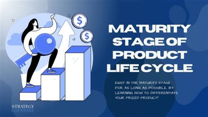 What do marketers do during the maturity stage?