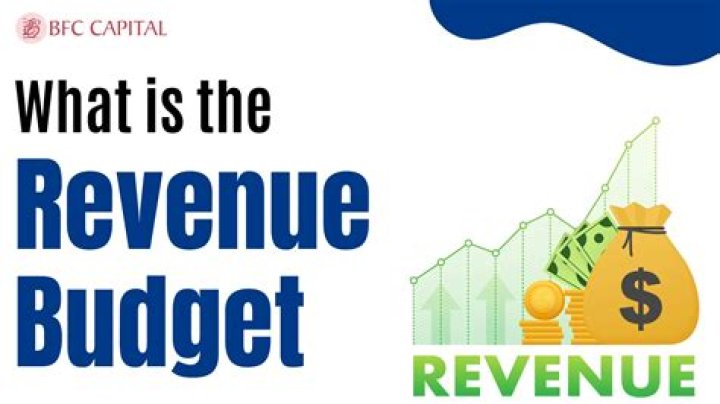 What does revenue budget mean?