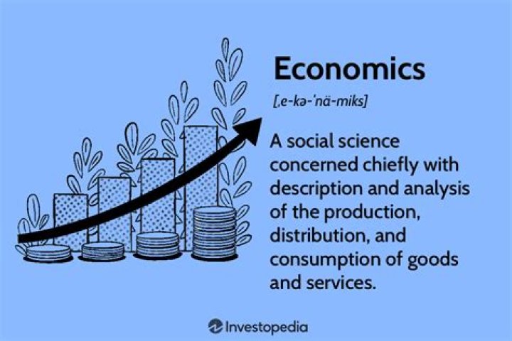 What does the study of economics focus on?