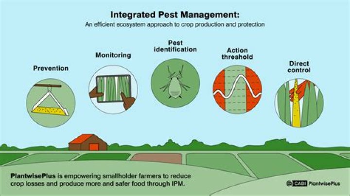 What does the term integrated refer to?