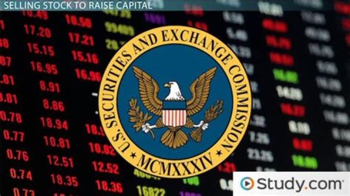 What is a company that sells stock to raise capital?