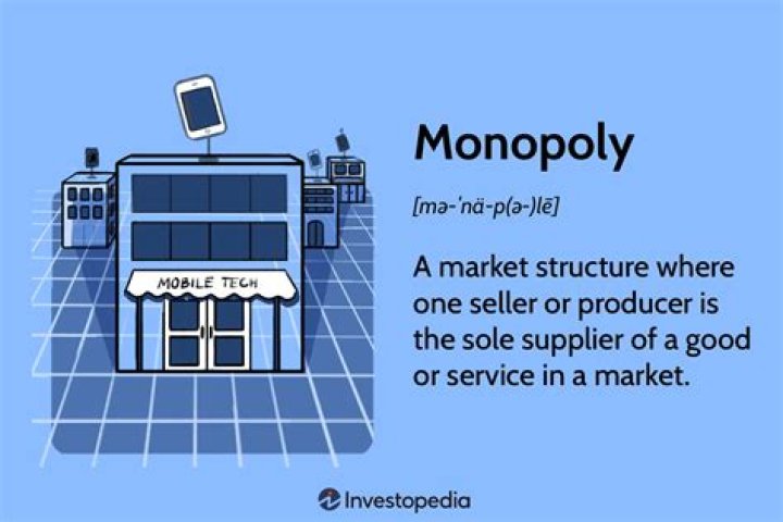 What is a monopoly economics?