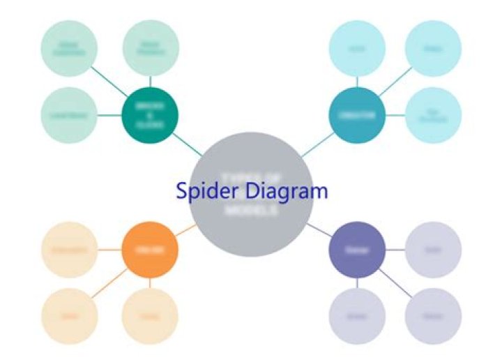 What is a spider diagram used for?