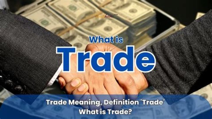 What is a trade business meaning?