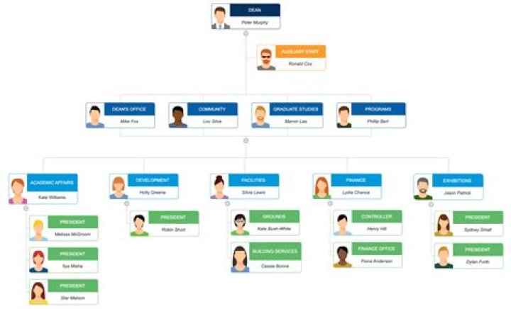 What is an example of organization?