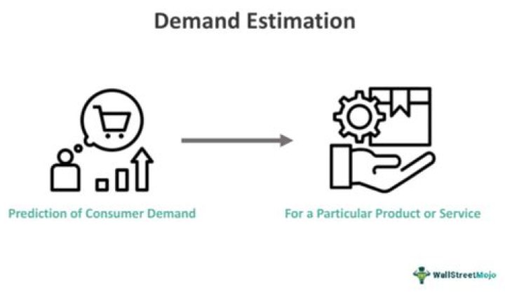 What is demand estimation example?