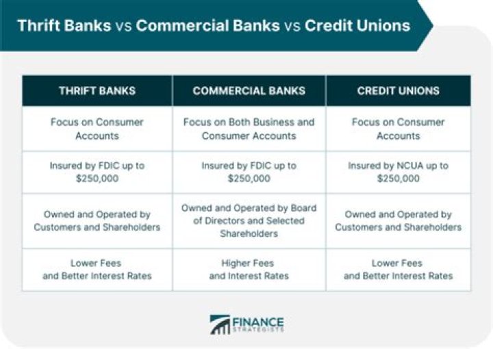 What is the difference between commercial banks and financial institutions?