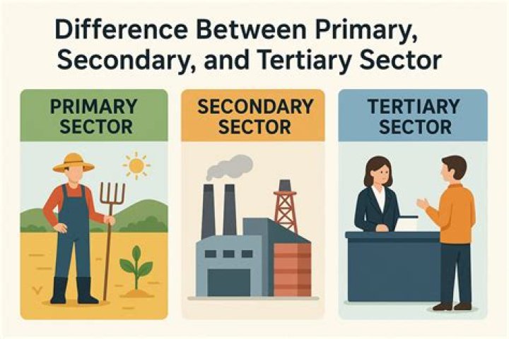 What is the difference between primary secondary and tertiary industry?