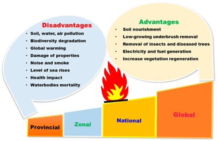What is the disadvantage of multinational?