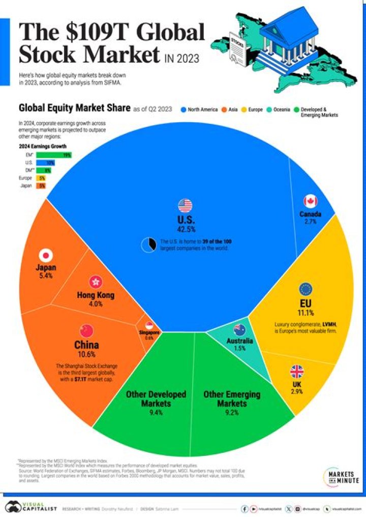 What is the importance of the stock market to the economy?