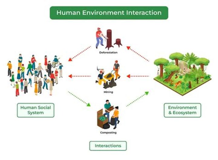 What is the meaning of human relation?