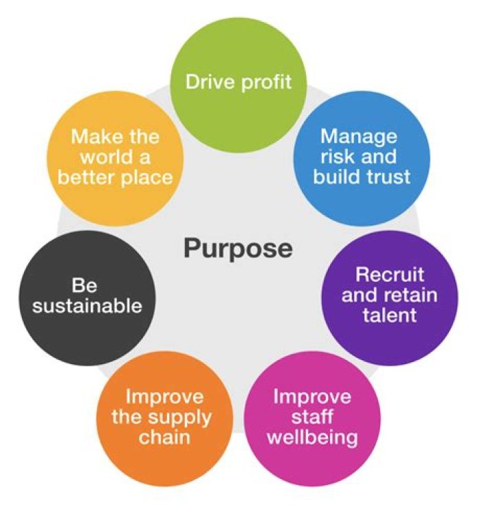 What is the purpose of a company description?
