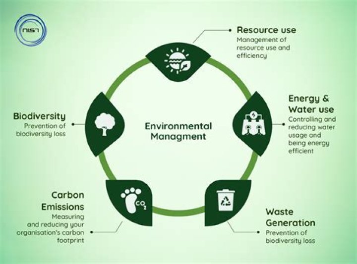 What is the role of environment in business?