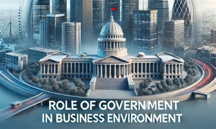 What is the role of government in business environment?