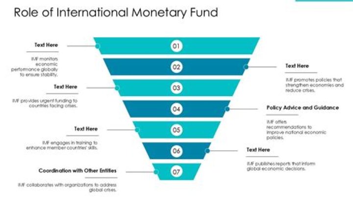 What is the role of International Monetary Fund in globalization?