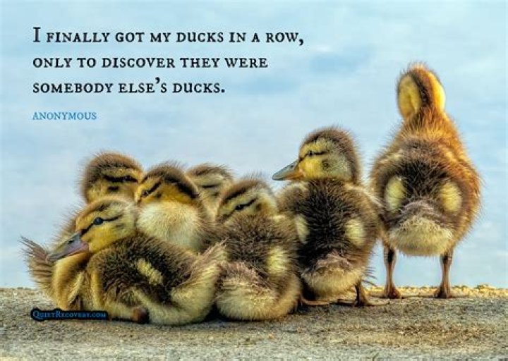 What is the word for getting ducks in a row?