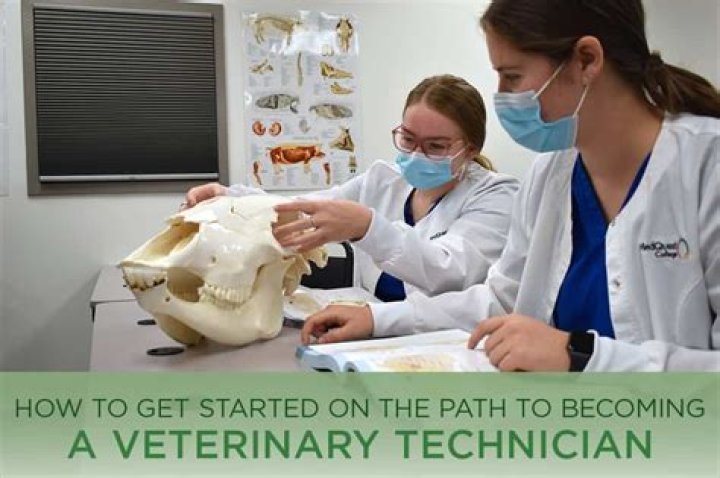 What kind of degree do you need to become a veterinarian?