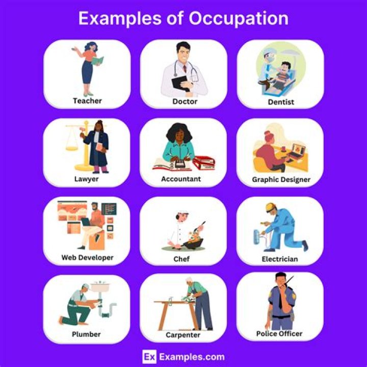 What occupation comes under primary?