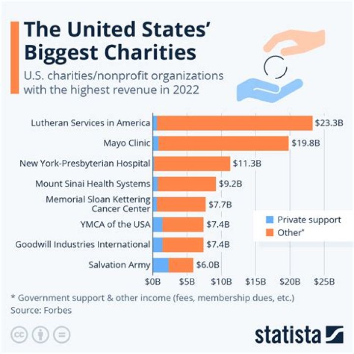 What percentage of donations go to charity World Vision?