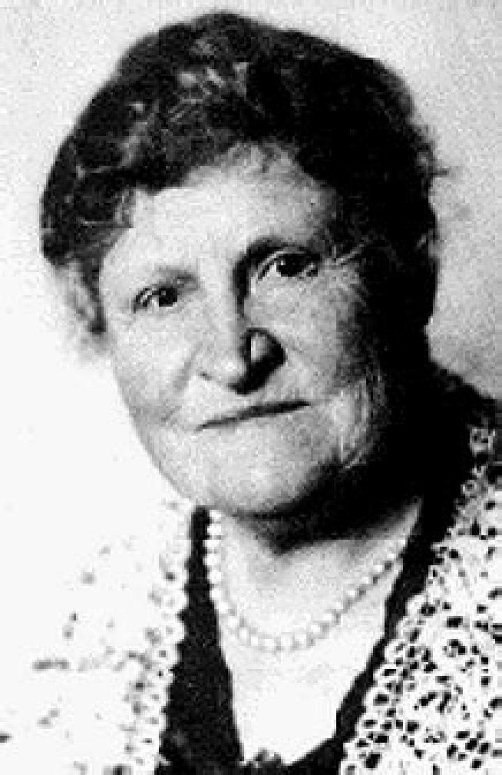 What was Henrietta Muir Edwards job?