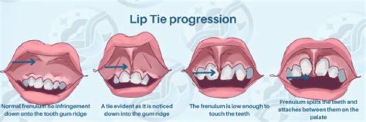 Where did the term lip service come from?