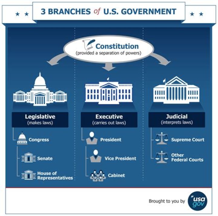 Which branch of government determines the constitutionality of the law?