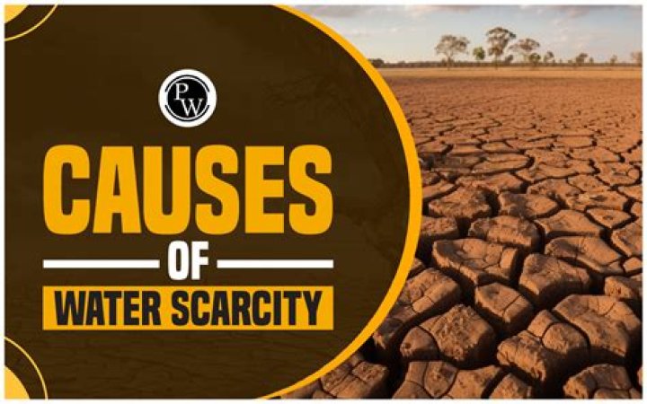 Which is an example of a scarce resource?